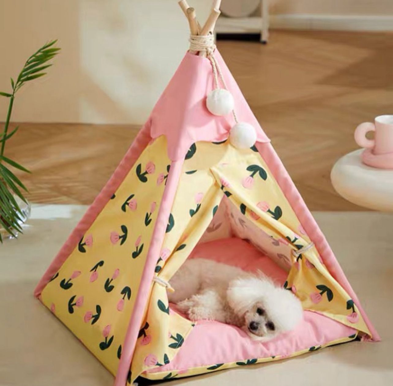 Colorful Pet Tent