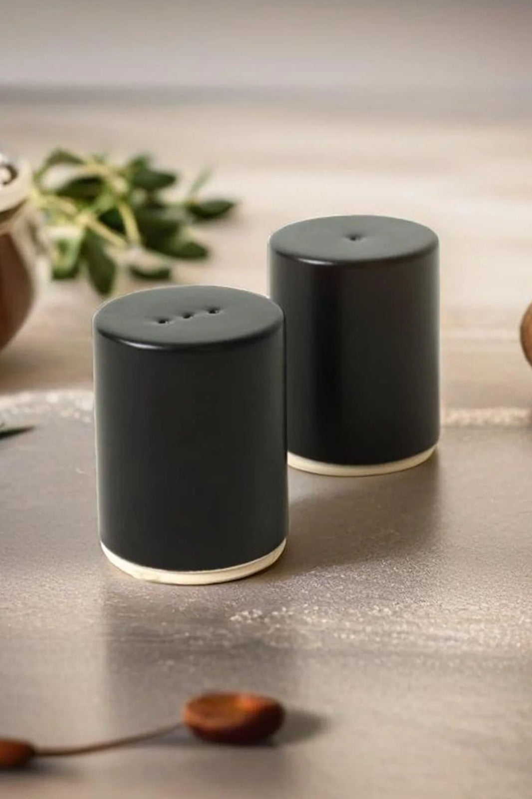 Salt And Pepper Shaker