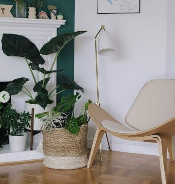 Shell Chair