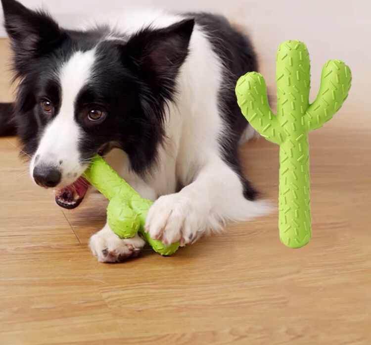 Dogs Cactus Chewing Toy