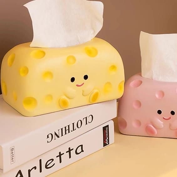 Tissue Holder Box