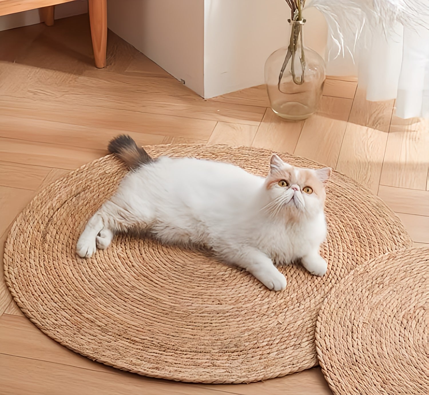 Rattan Carpet Scratcher