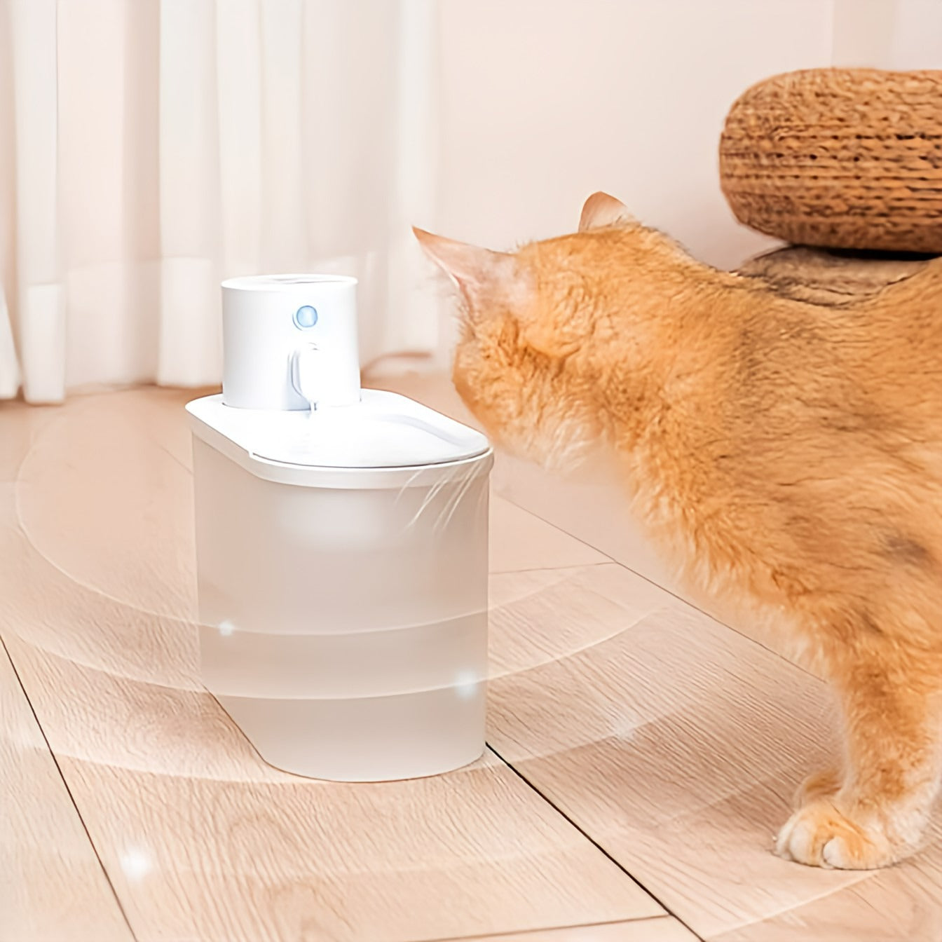 Pet Water Fountain