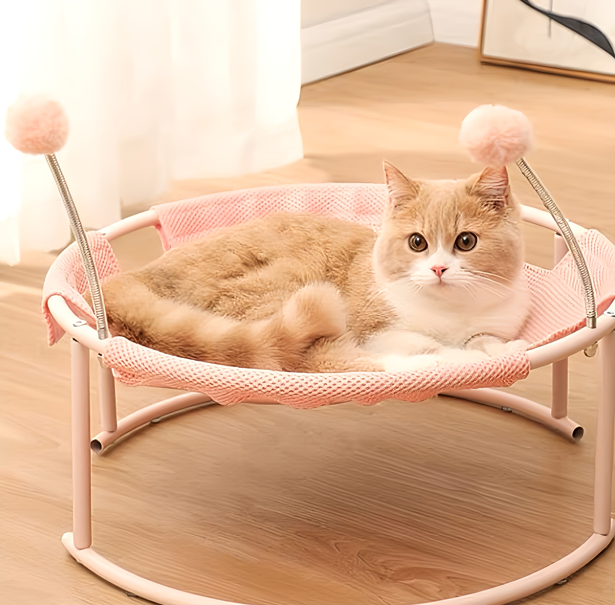 Cat Bed With Toy