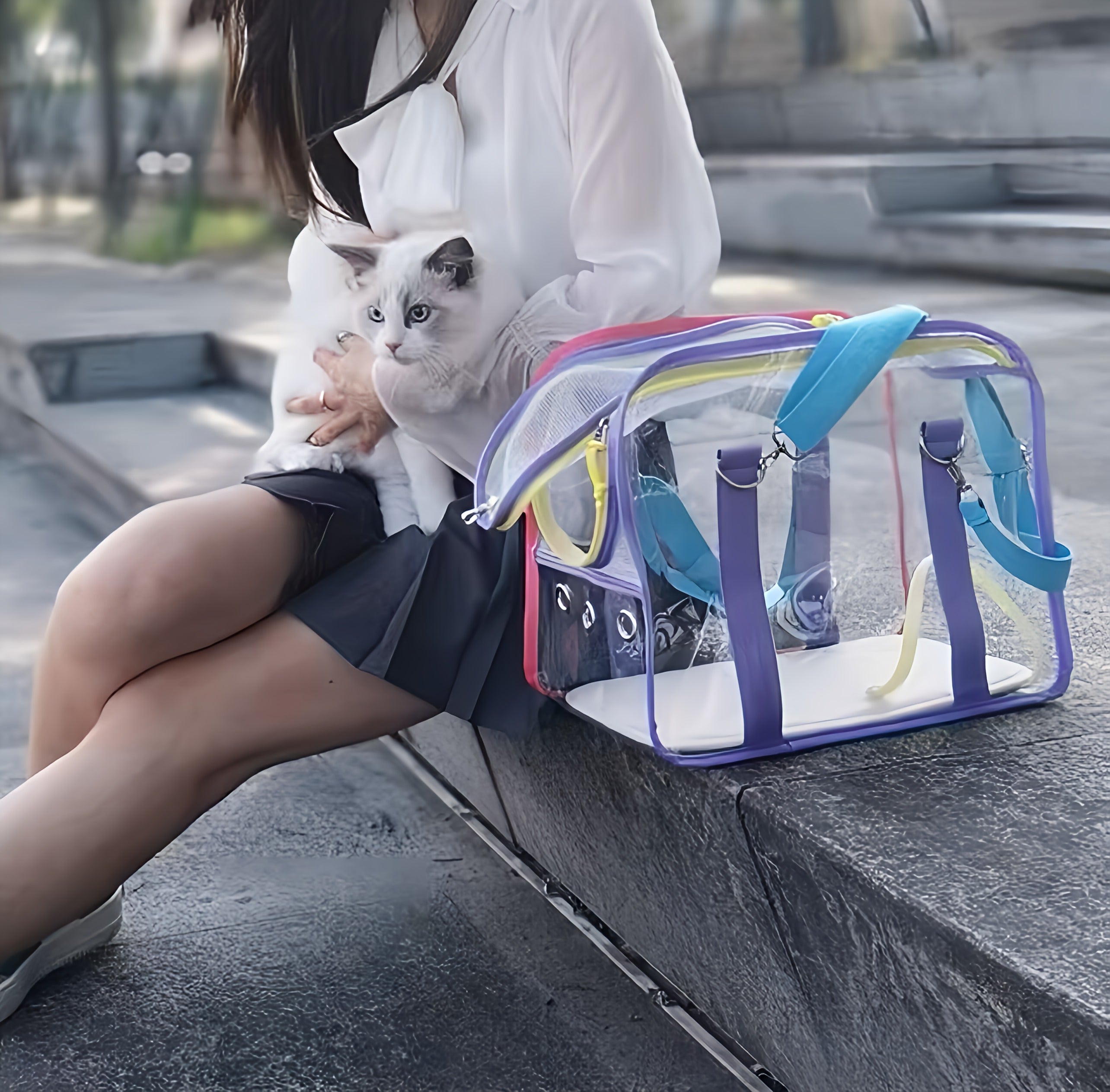 Cat Bag Carrier