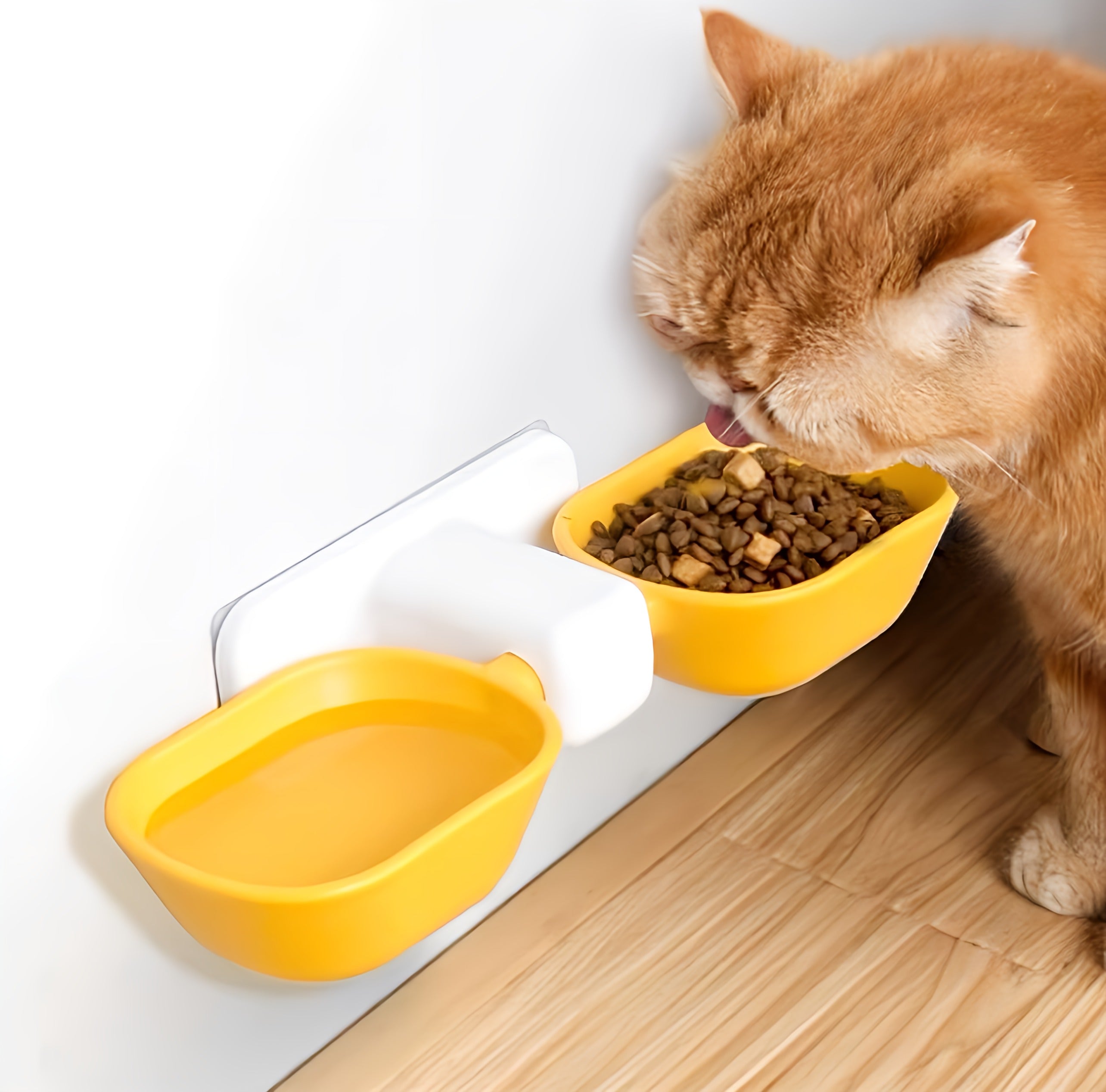 Wall Mounted Food Bowl