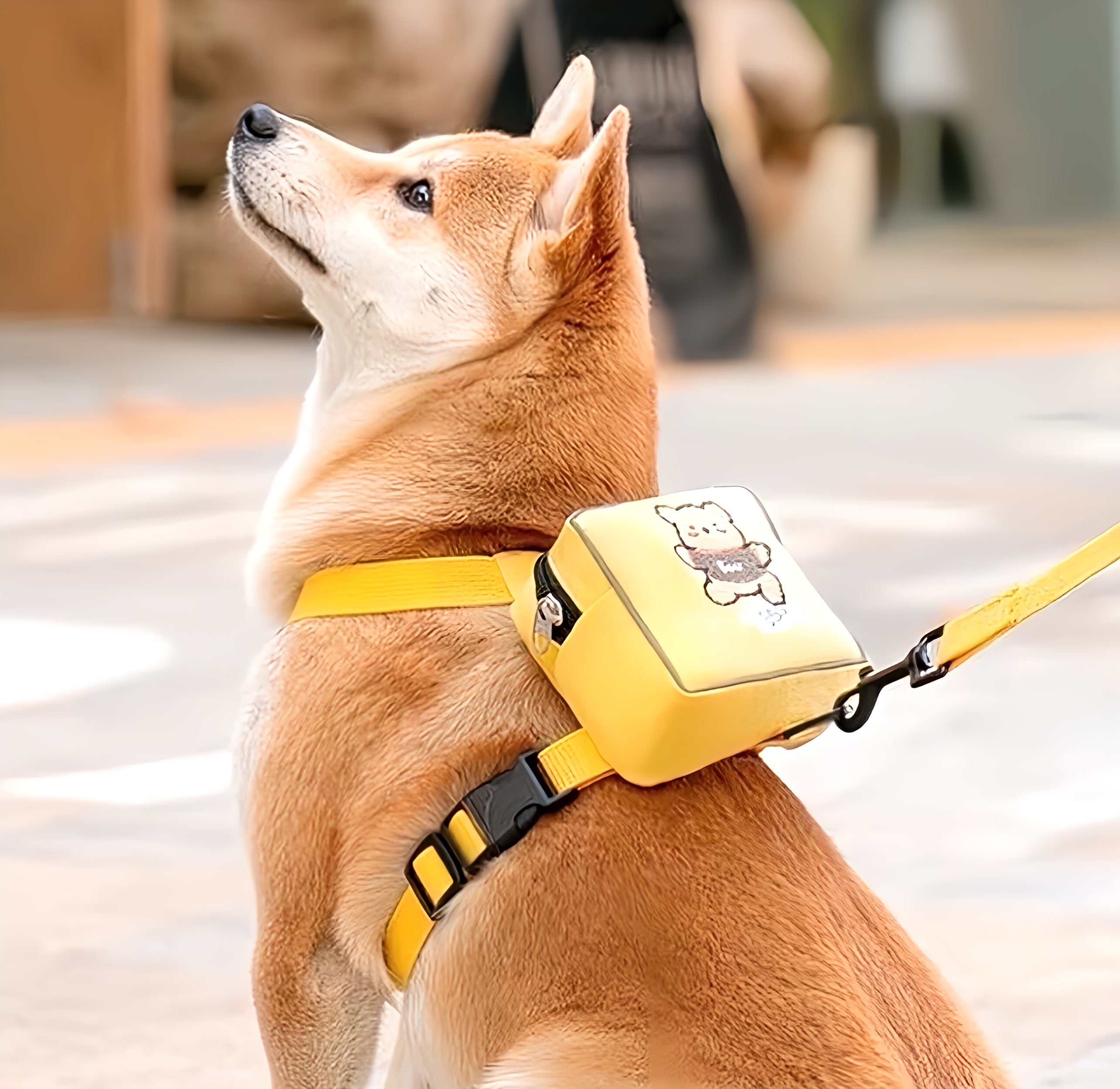 Pet Leash with Backpack