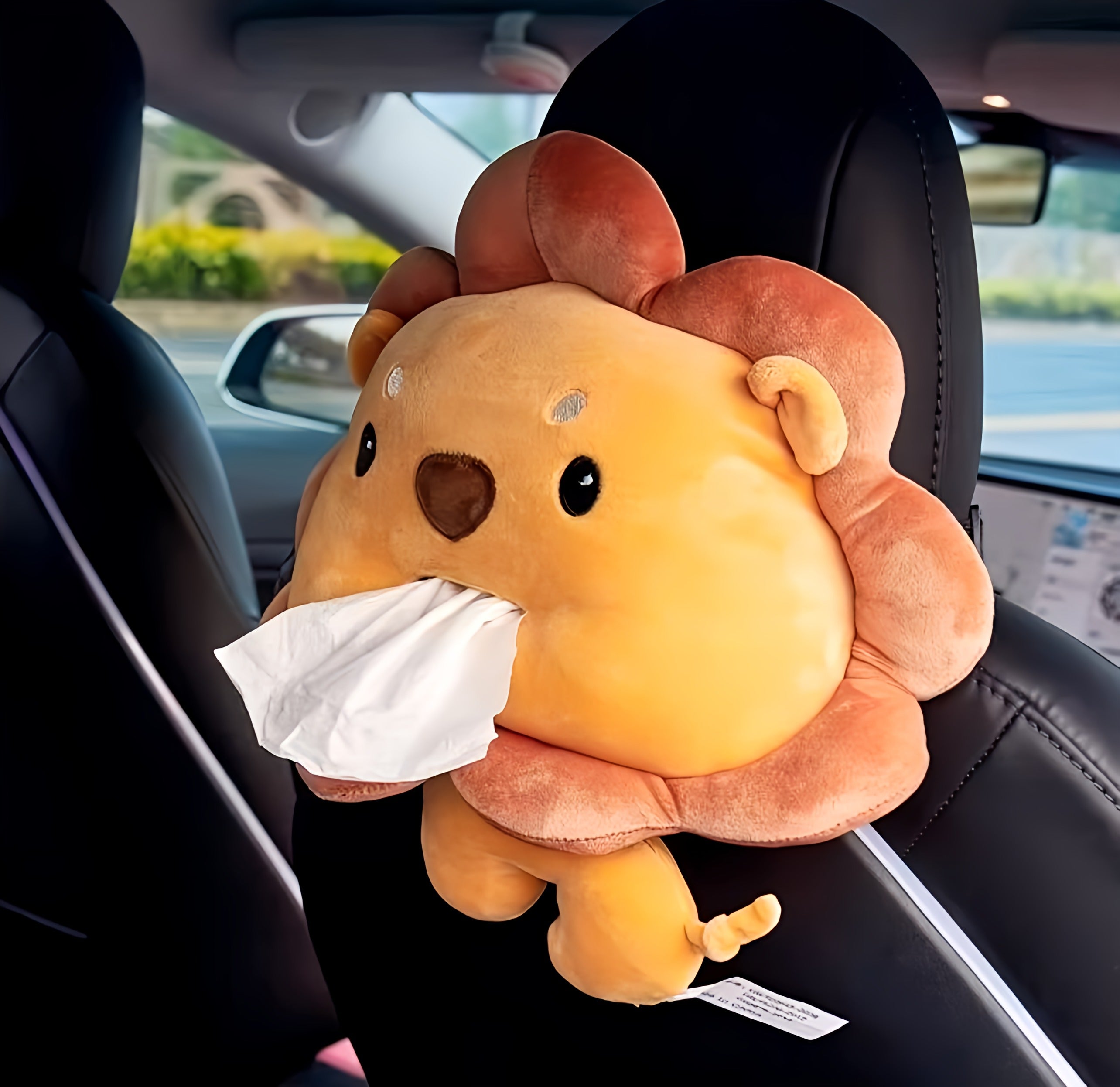 Car Tissue Holder