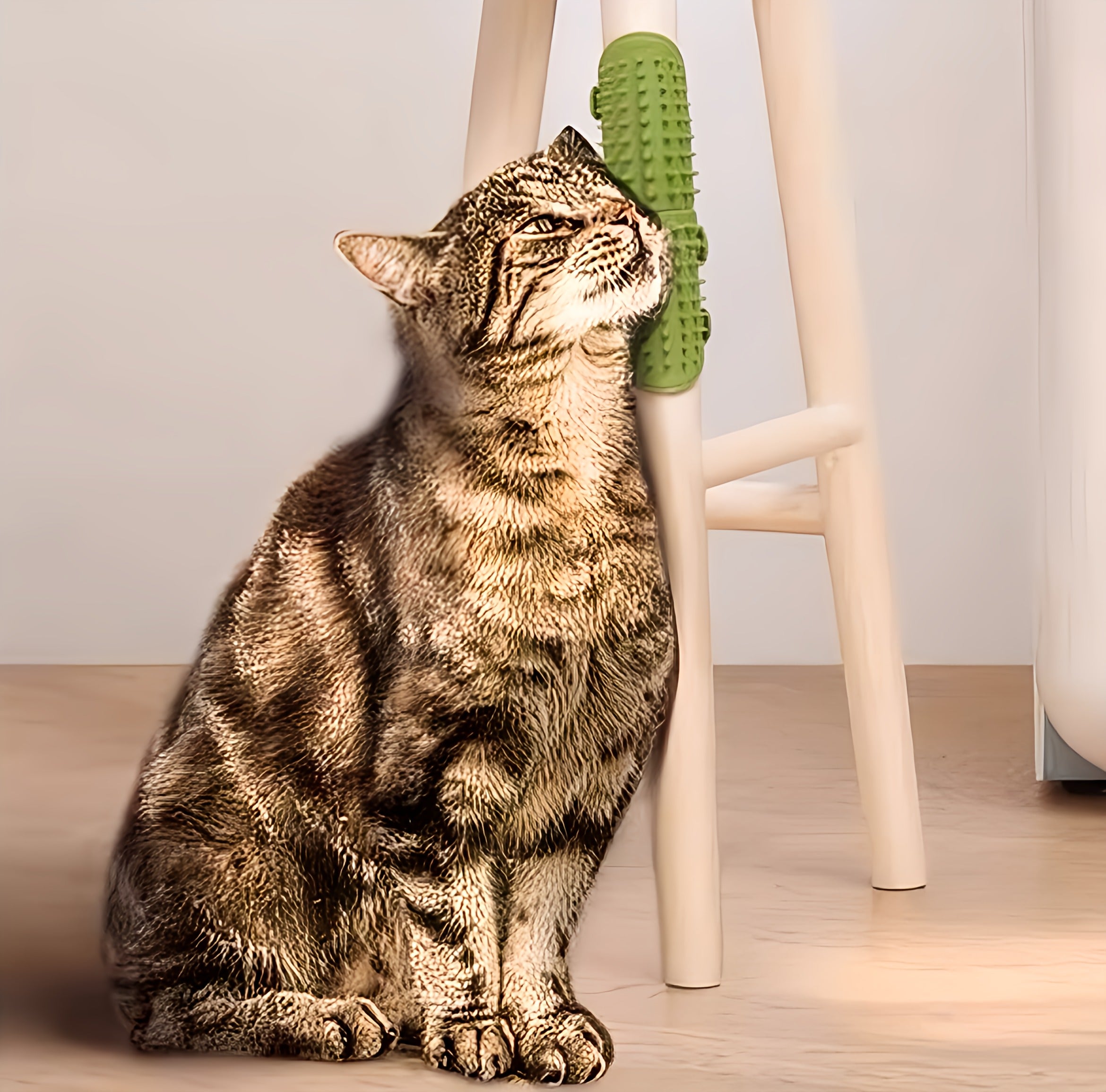 Cat Self Grooming Brush