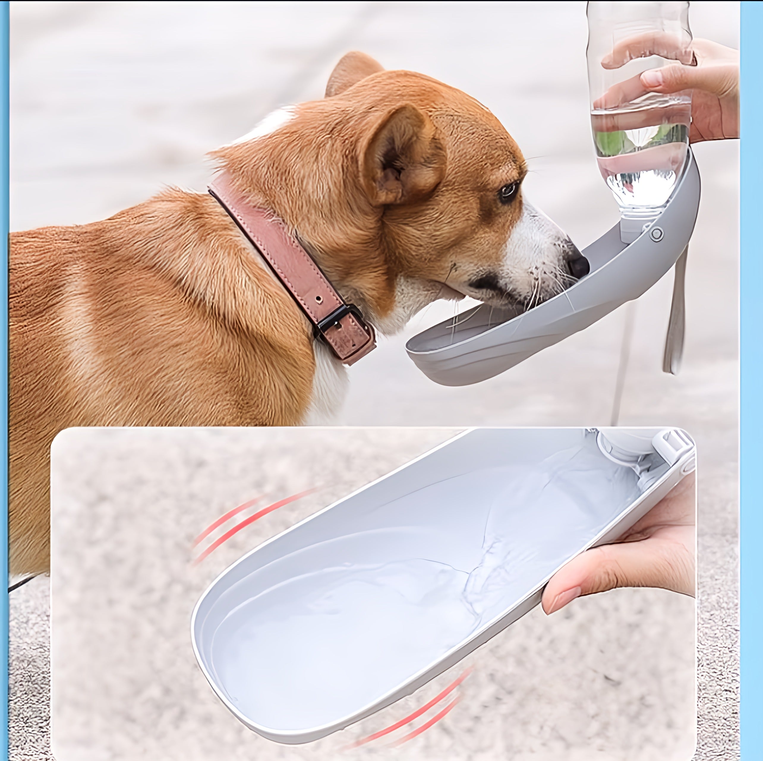 Carrying Dog Water Bottle