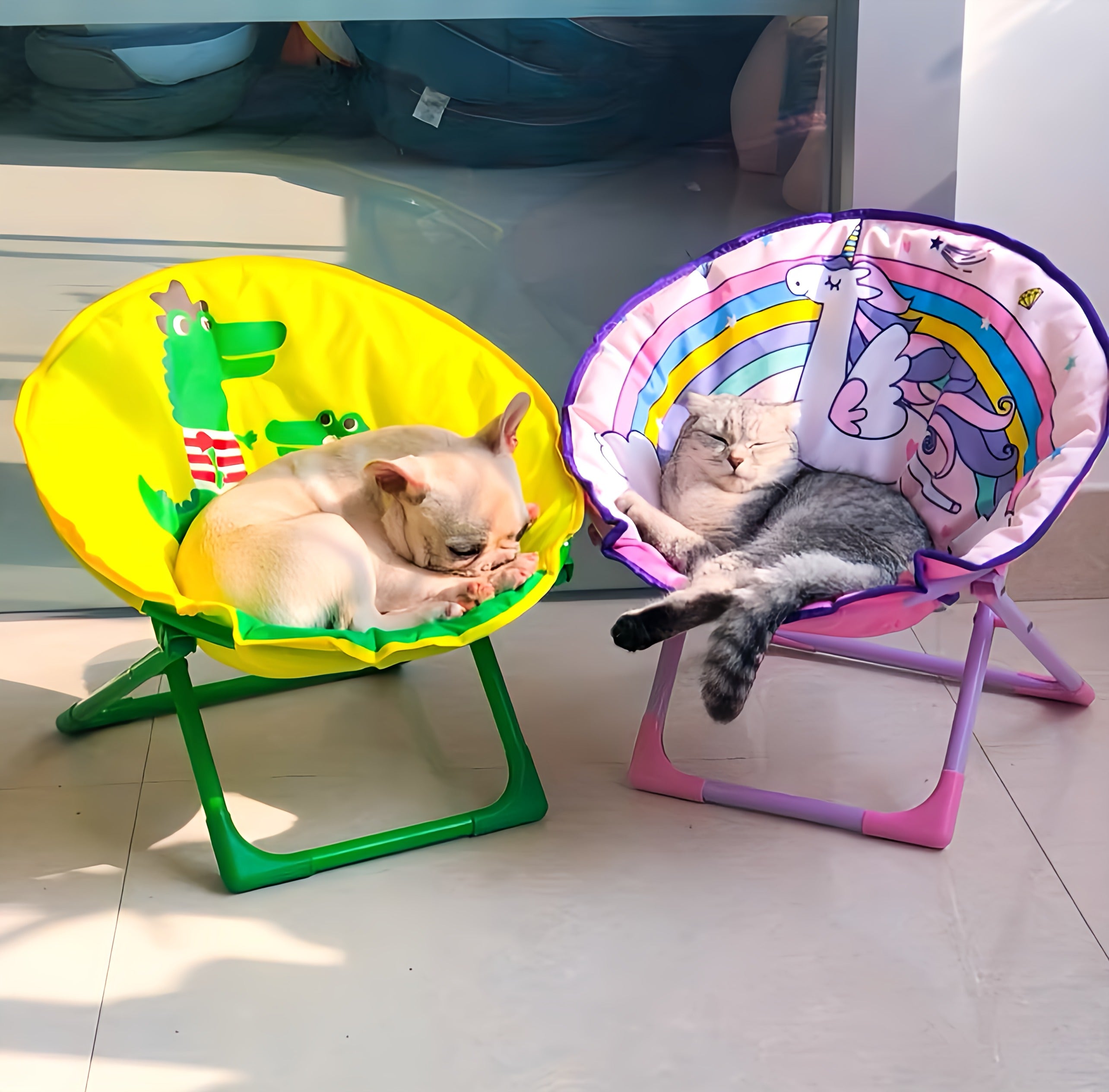 Saucer Chair For Pets