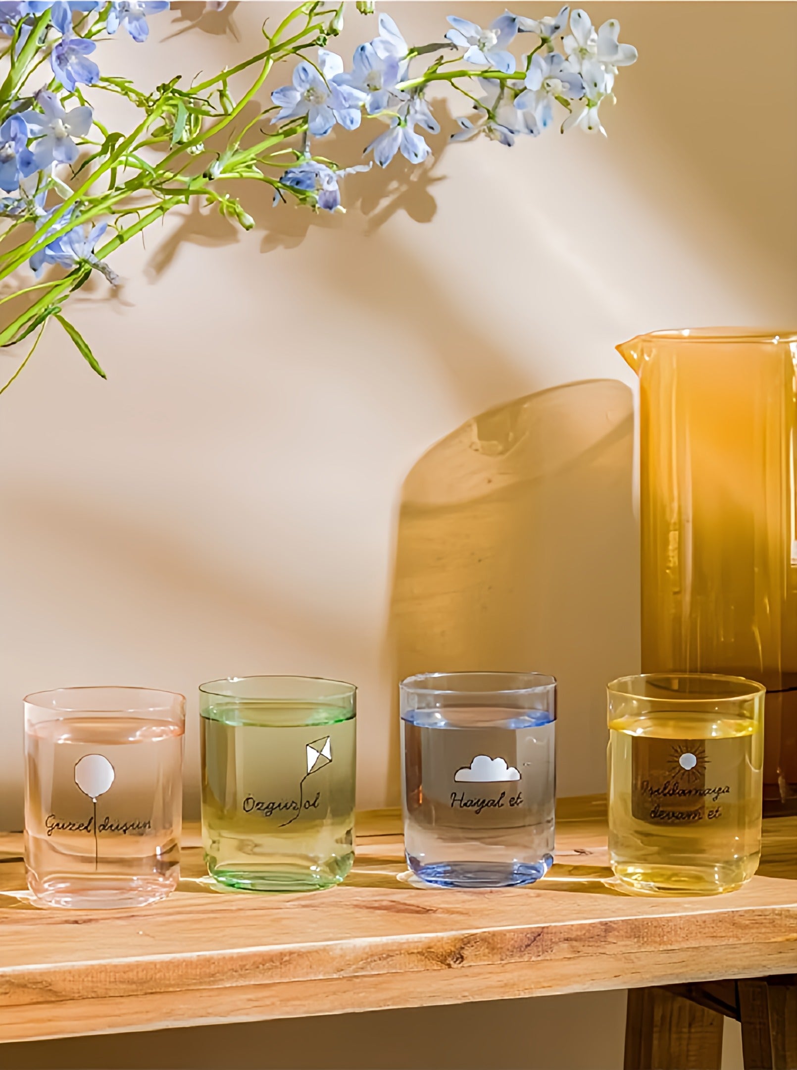 Printed Glass Set