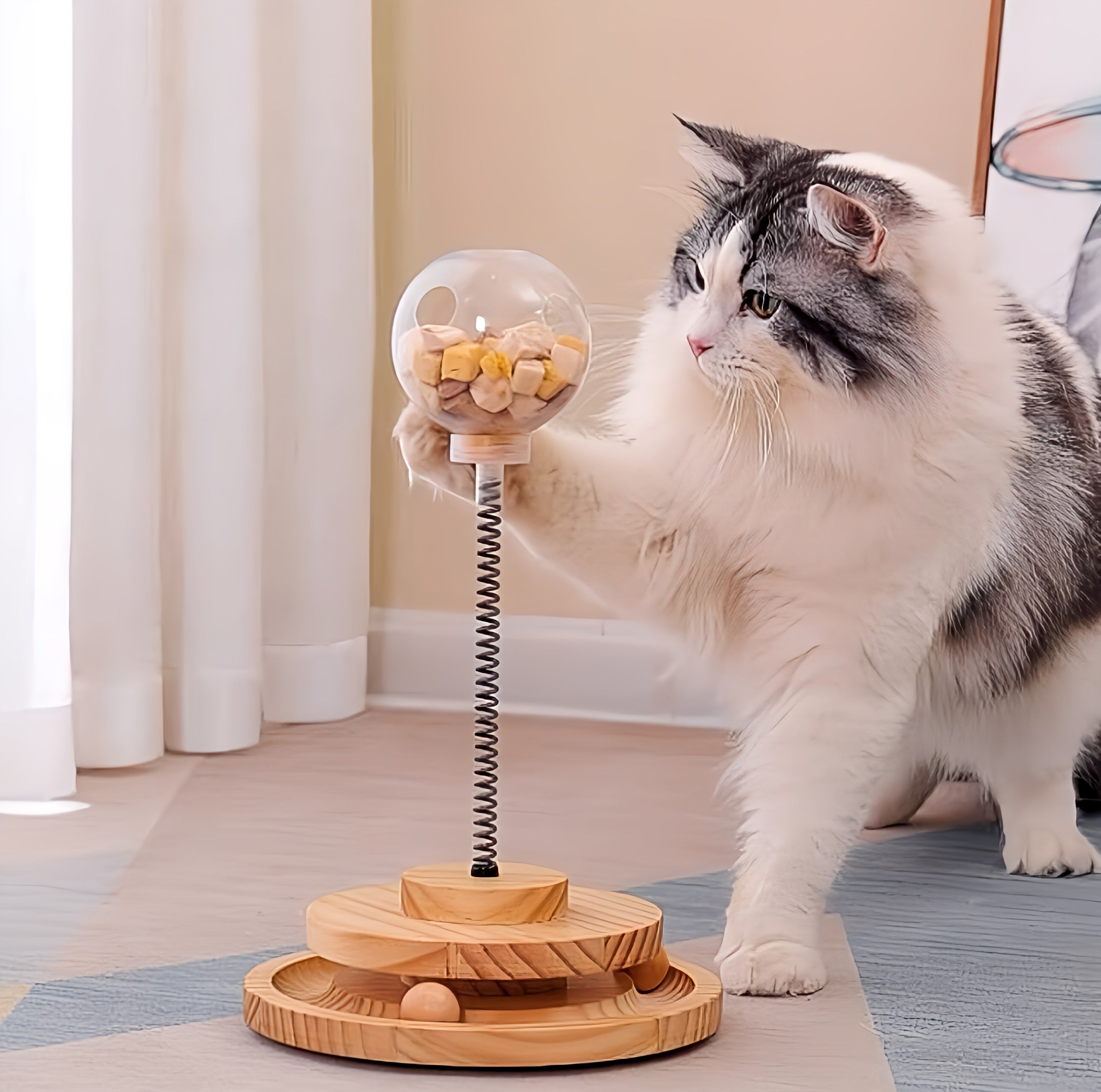 Cat Treats Toy