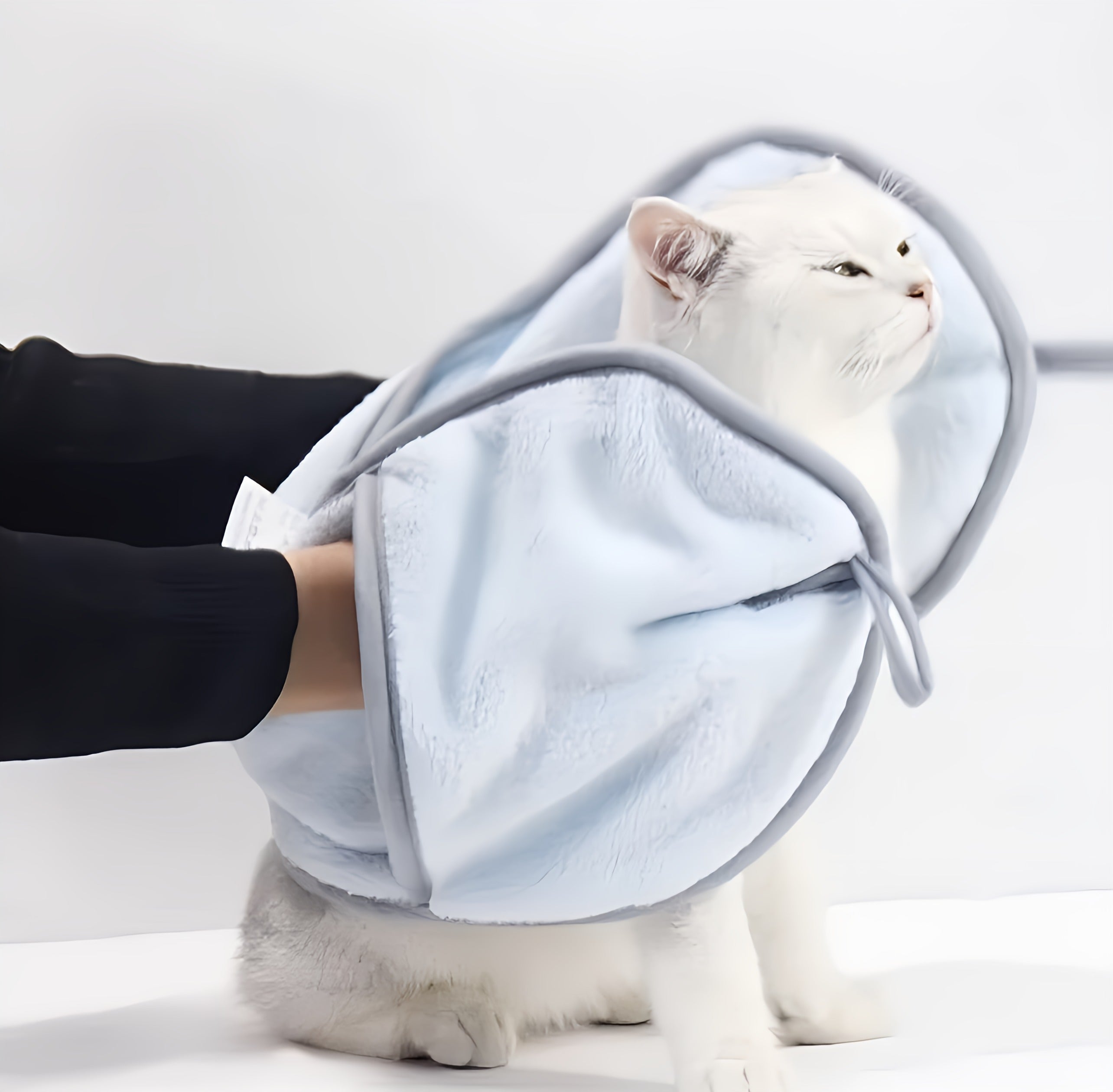 Cat Drying Towel