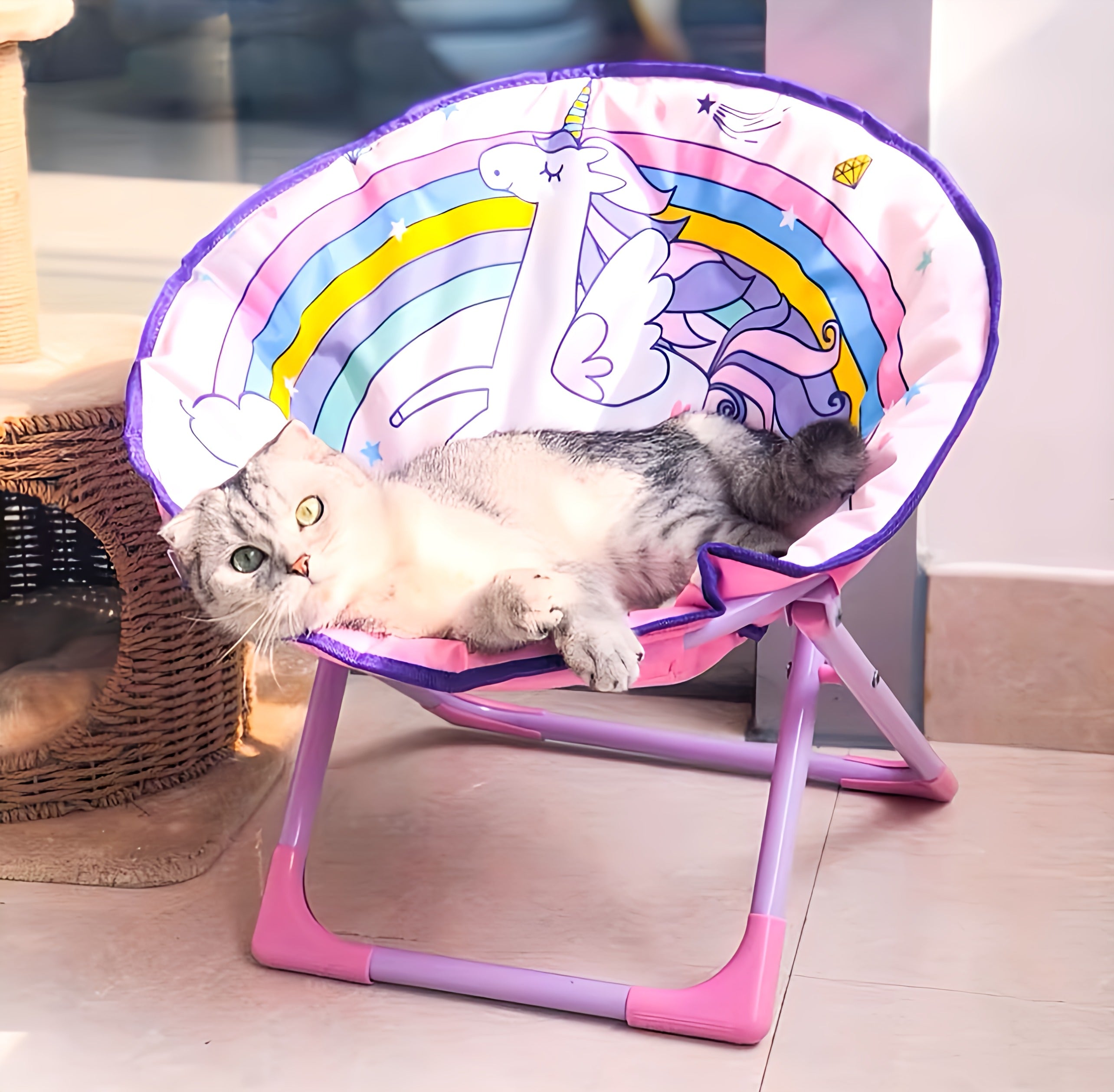 Saucer Chair For Pets