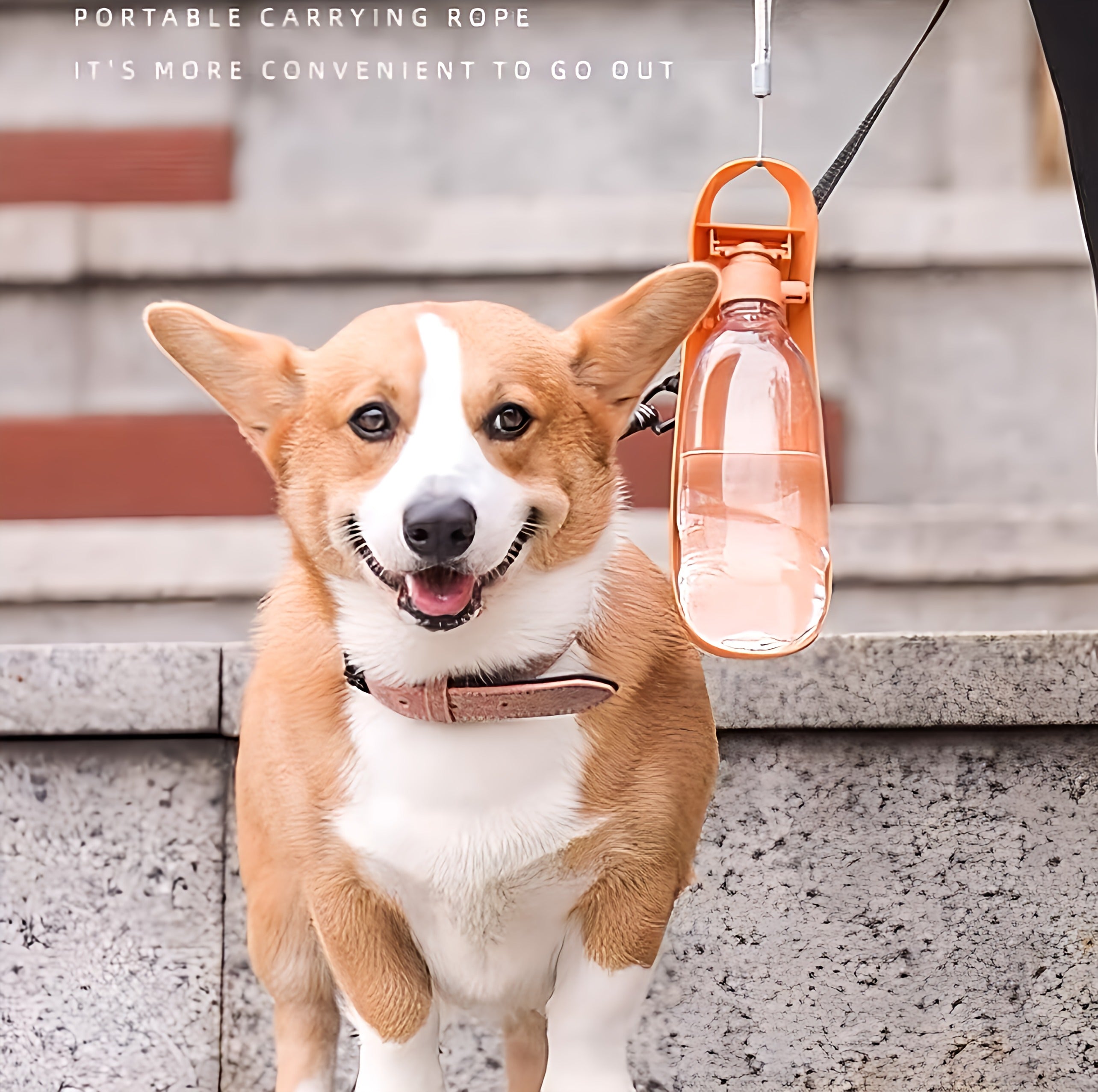 Carrying Dog Water Bottle