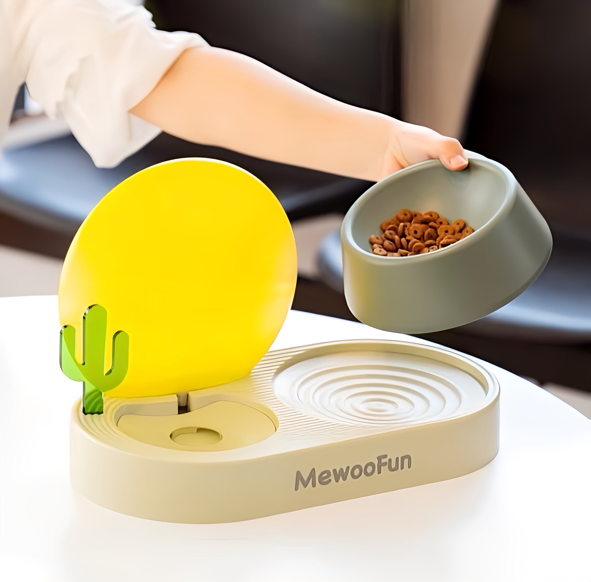 MewooFun Food & Water Bowl