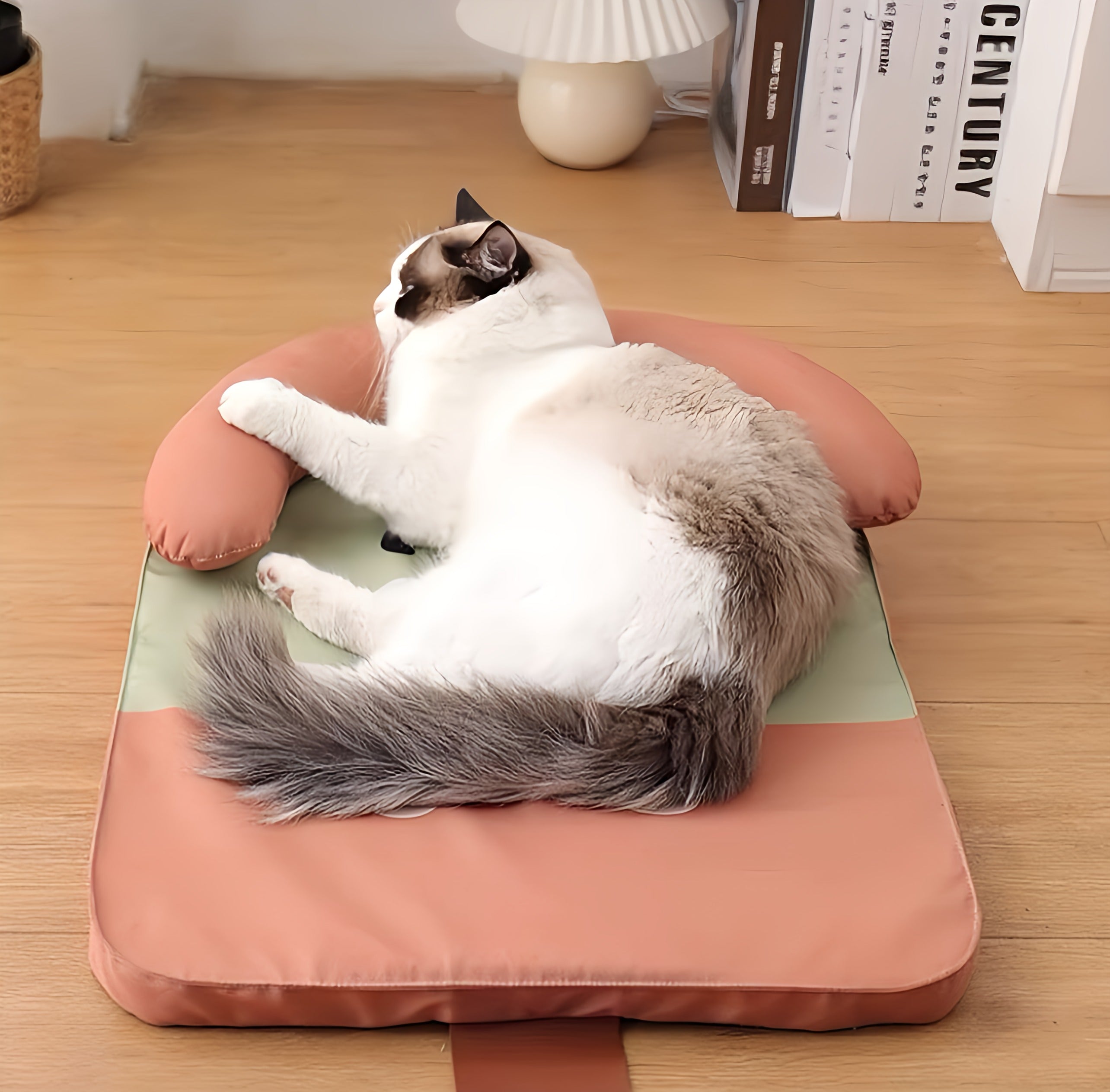 Cat Mat