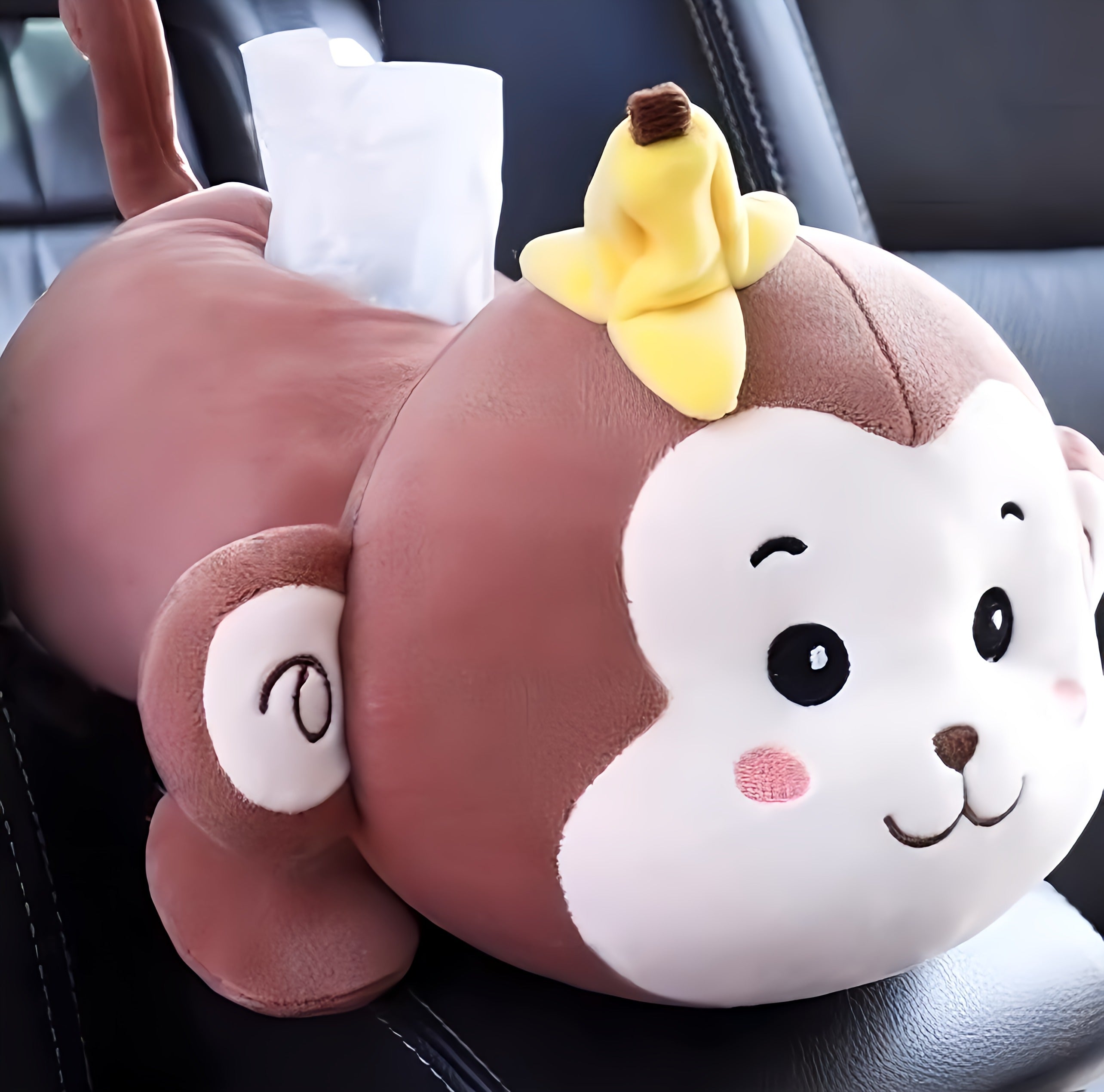 Car Tissue Holder