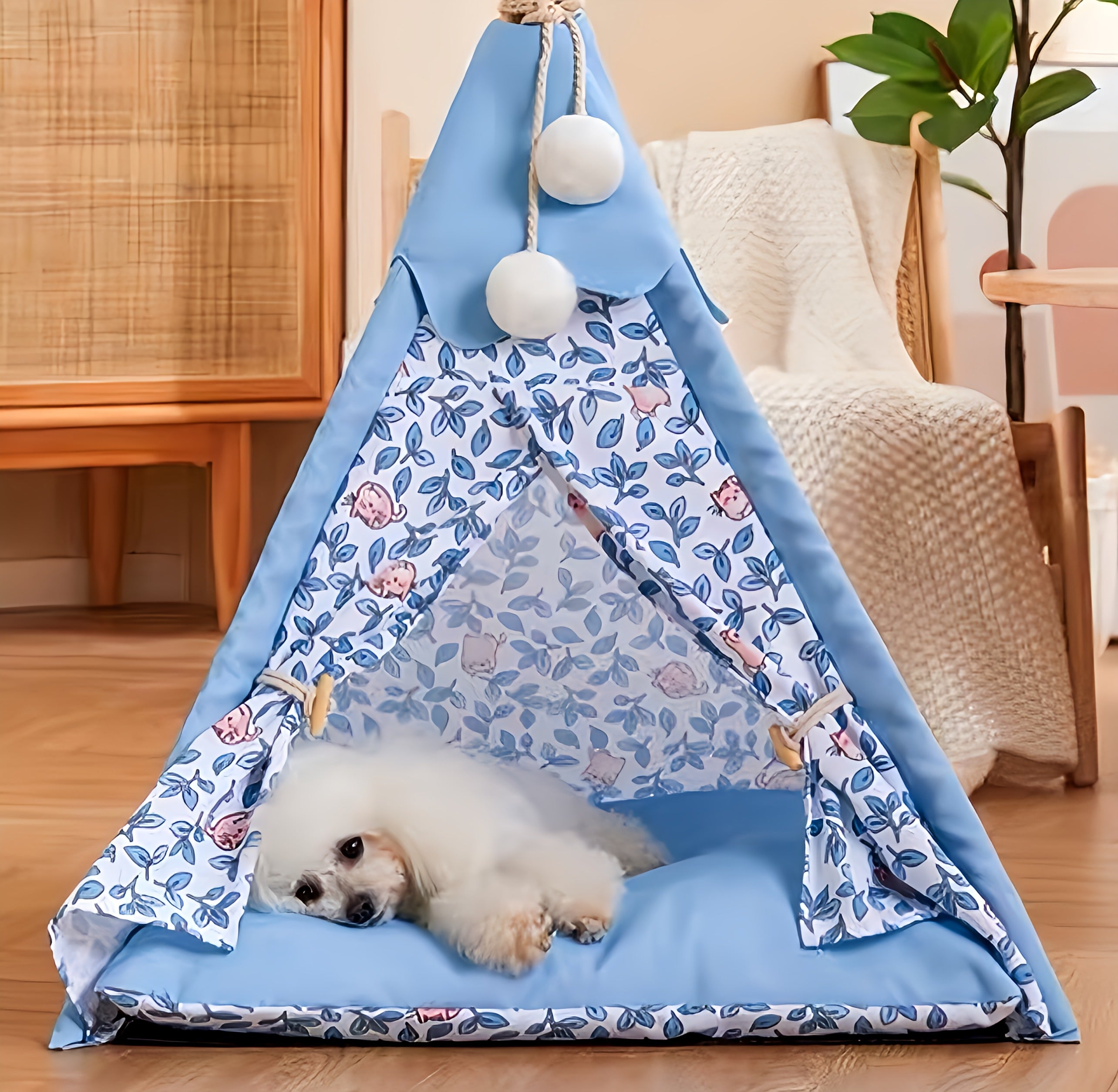 Colorful Pet Tent