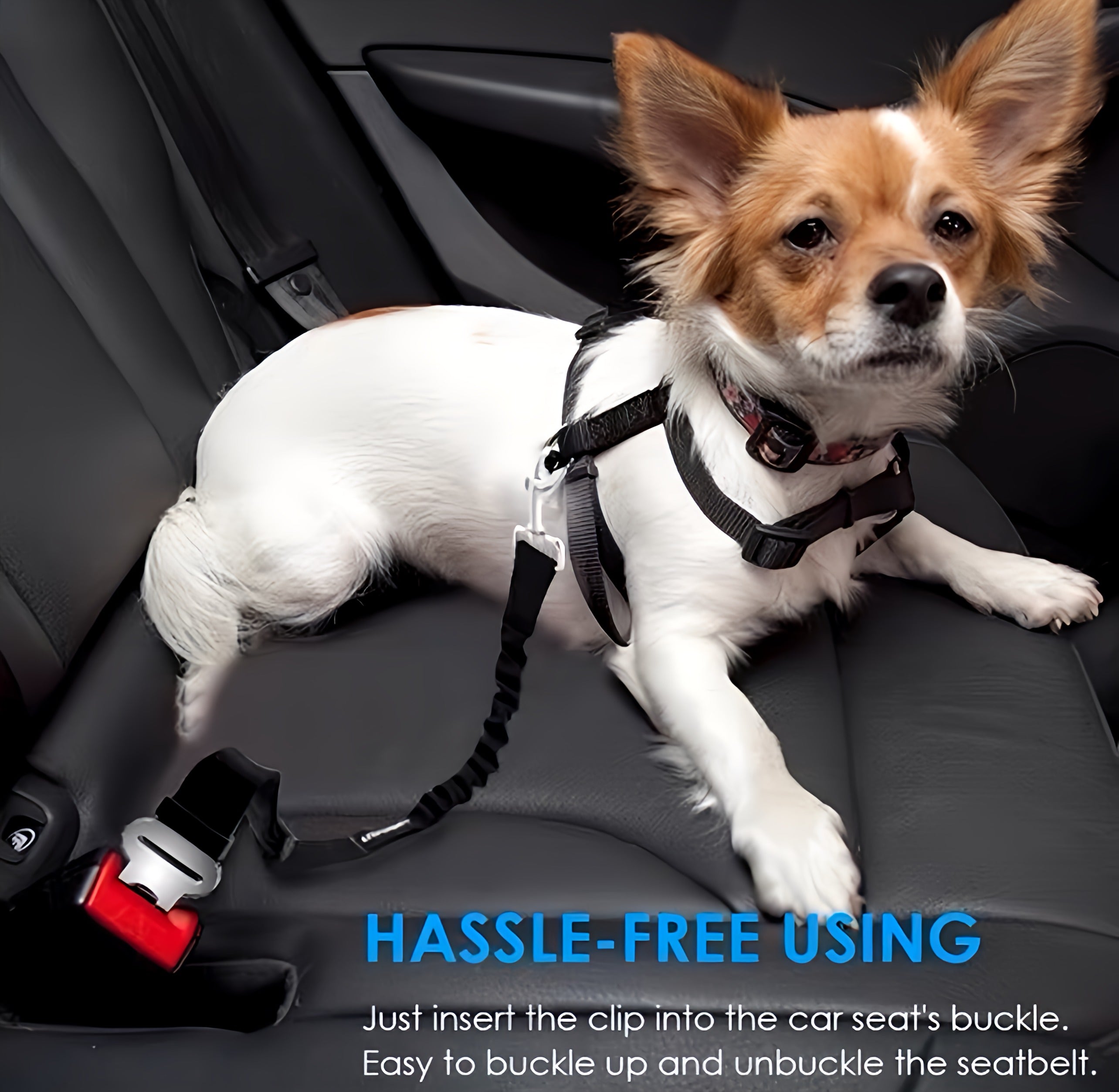 Dog Leash Seat Belt