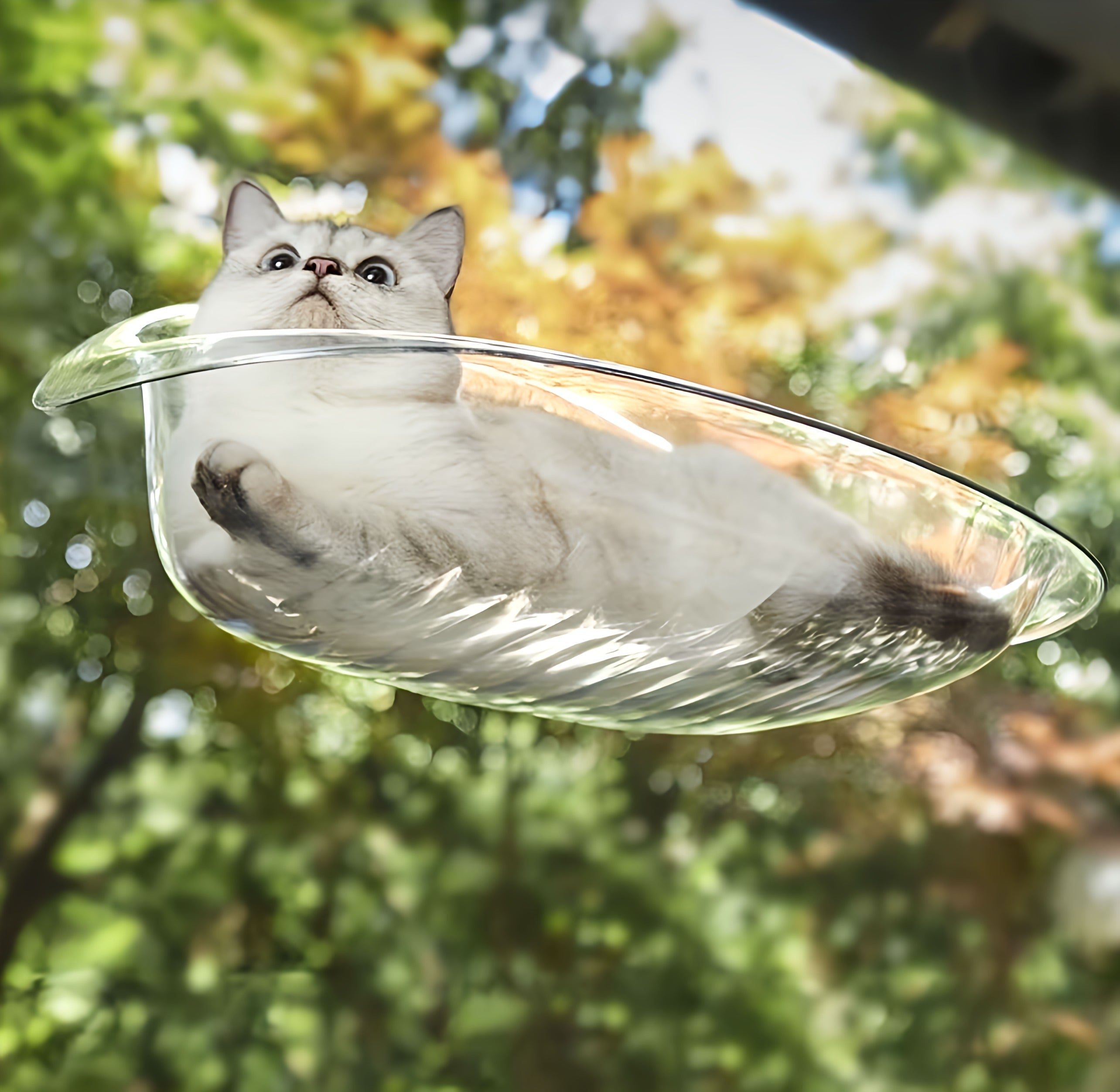 Cat Hammock