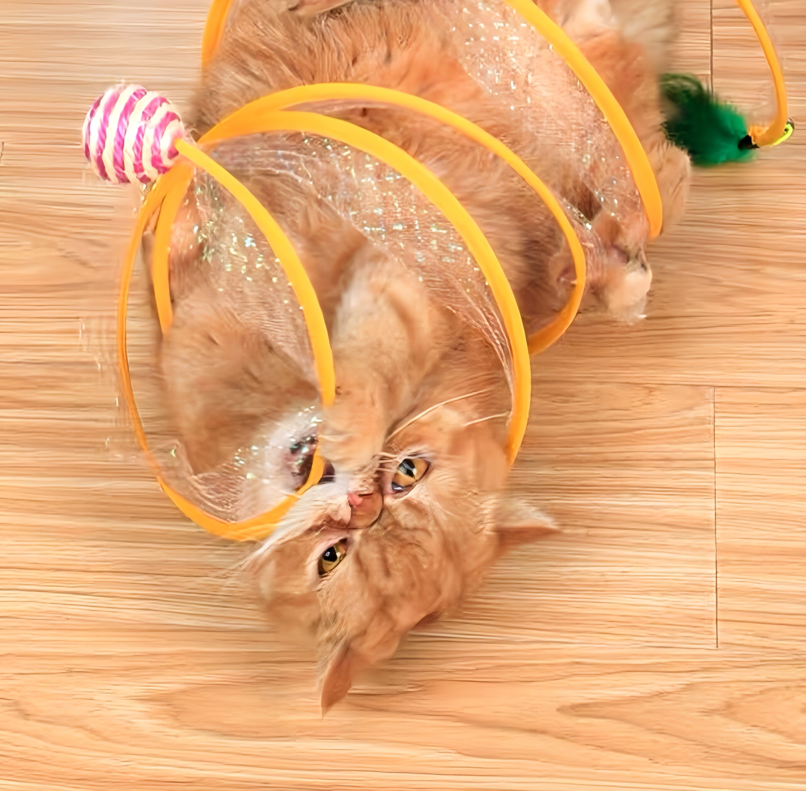 Collapsible Tunnel Toy For Cats