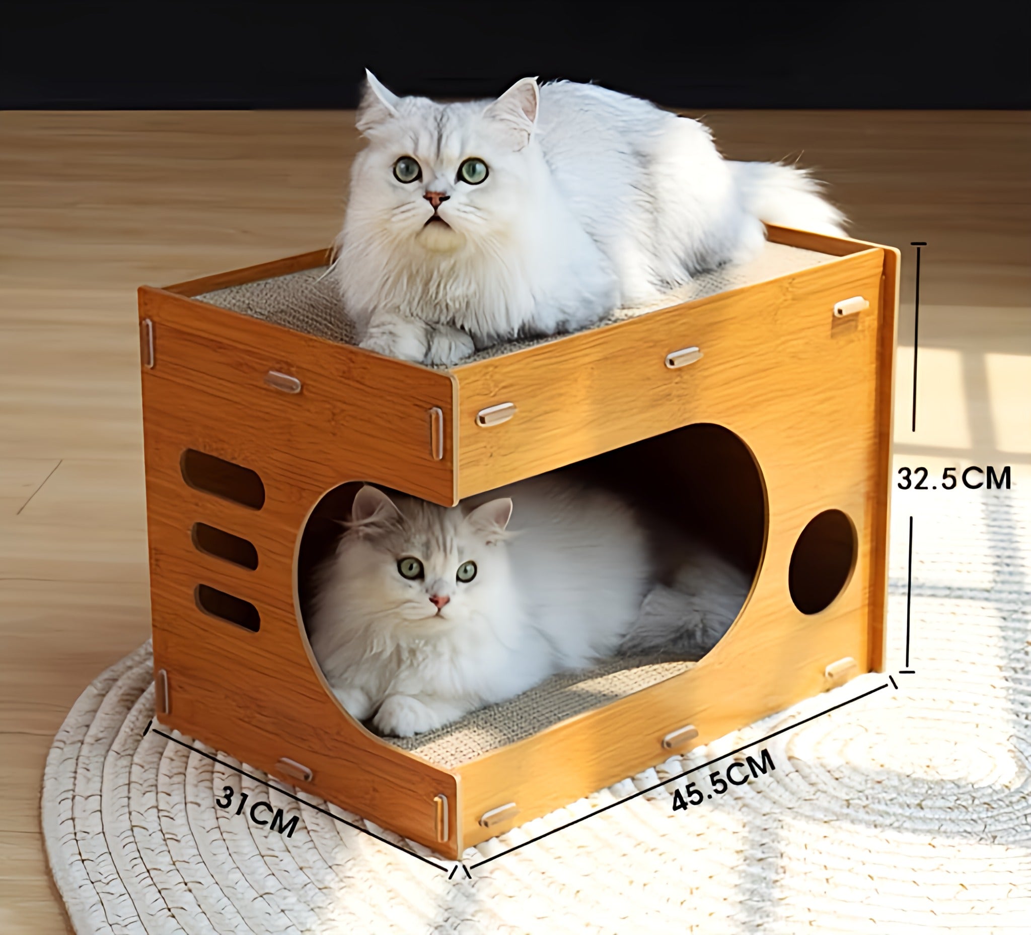 Cat’s Scratching House