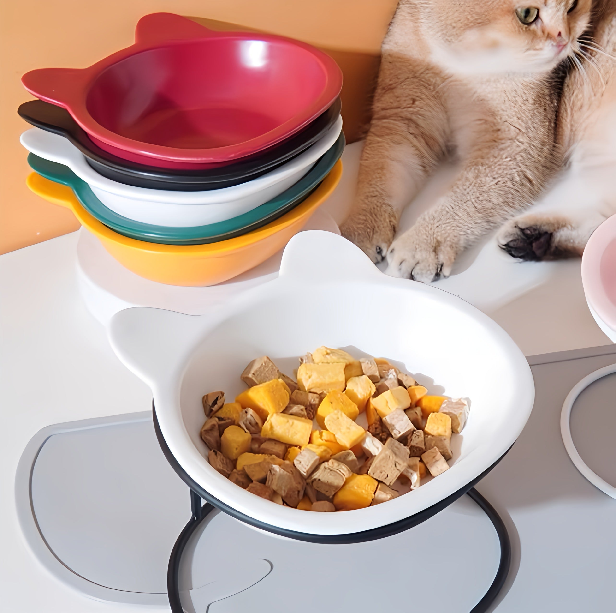 Cat Feeding Bowl