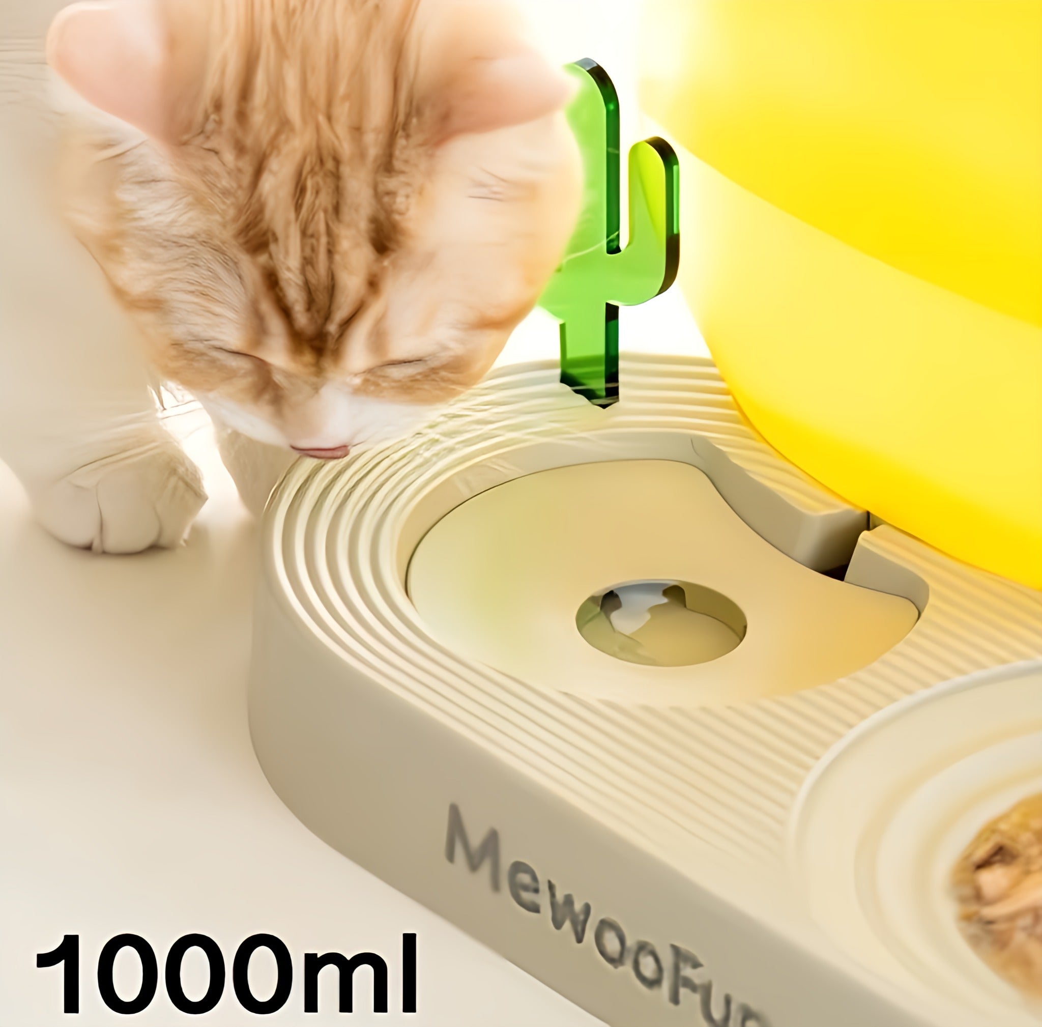 MewooFun Food & Water Bowl