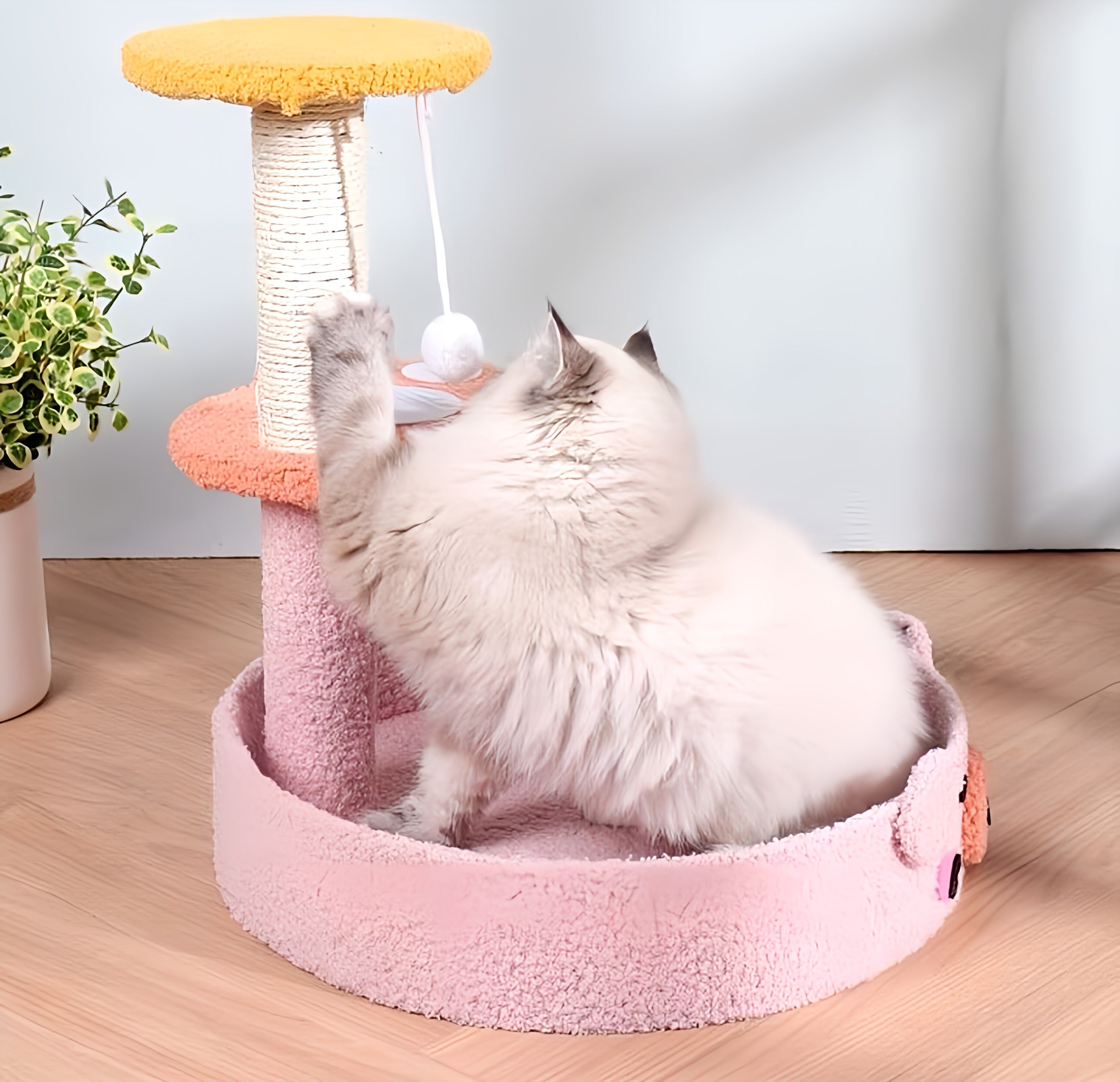 Cat Mini Tree Scratcher