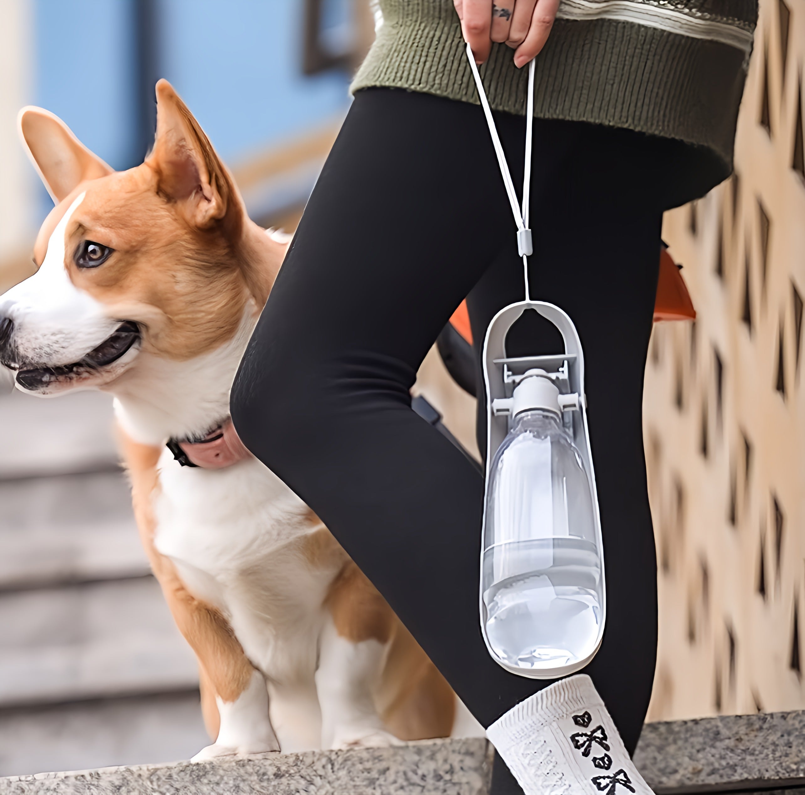 Carrying Dog Water Bottle