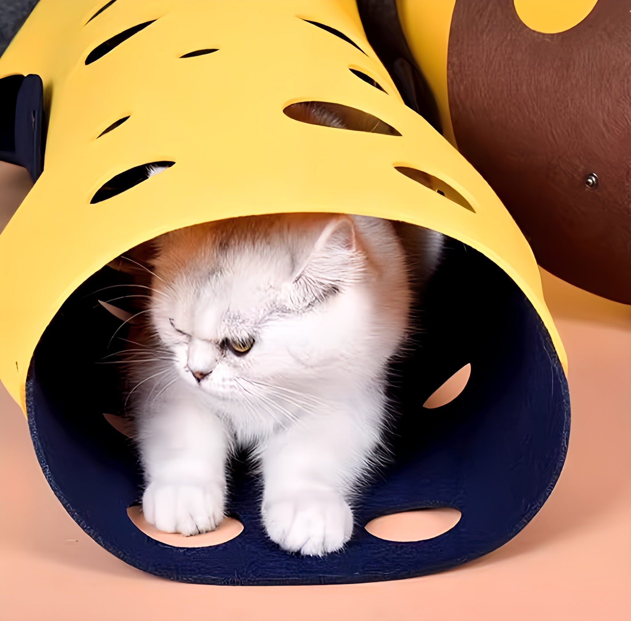 Cat’s Tunnel Game