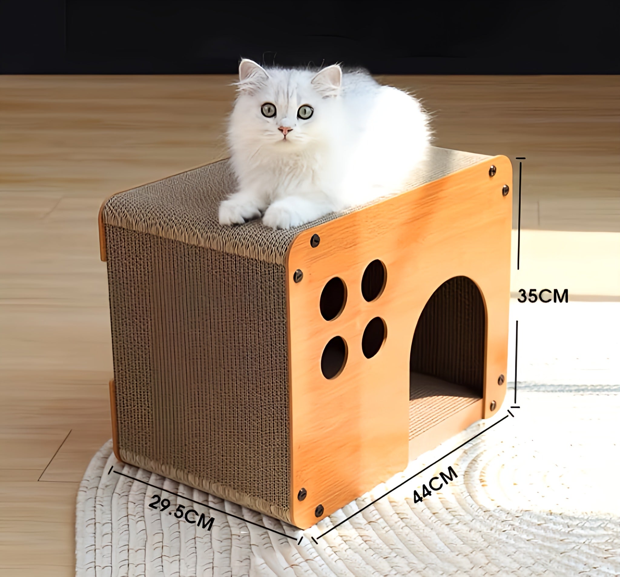 Cat’s Scratching House