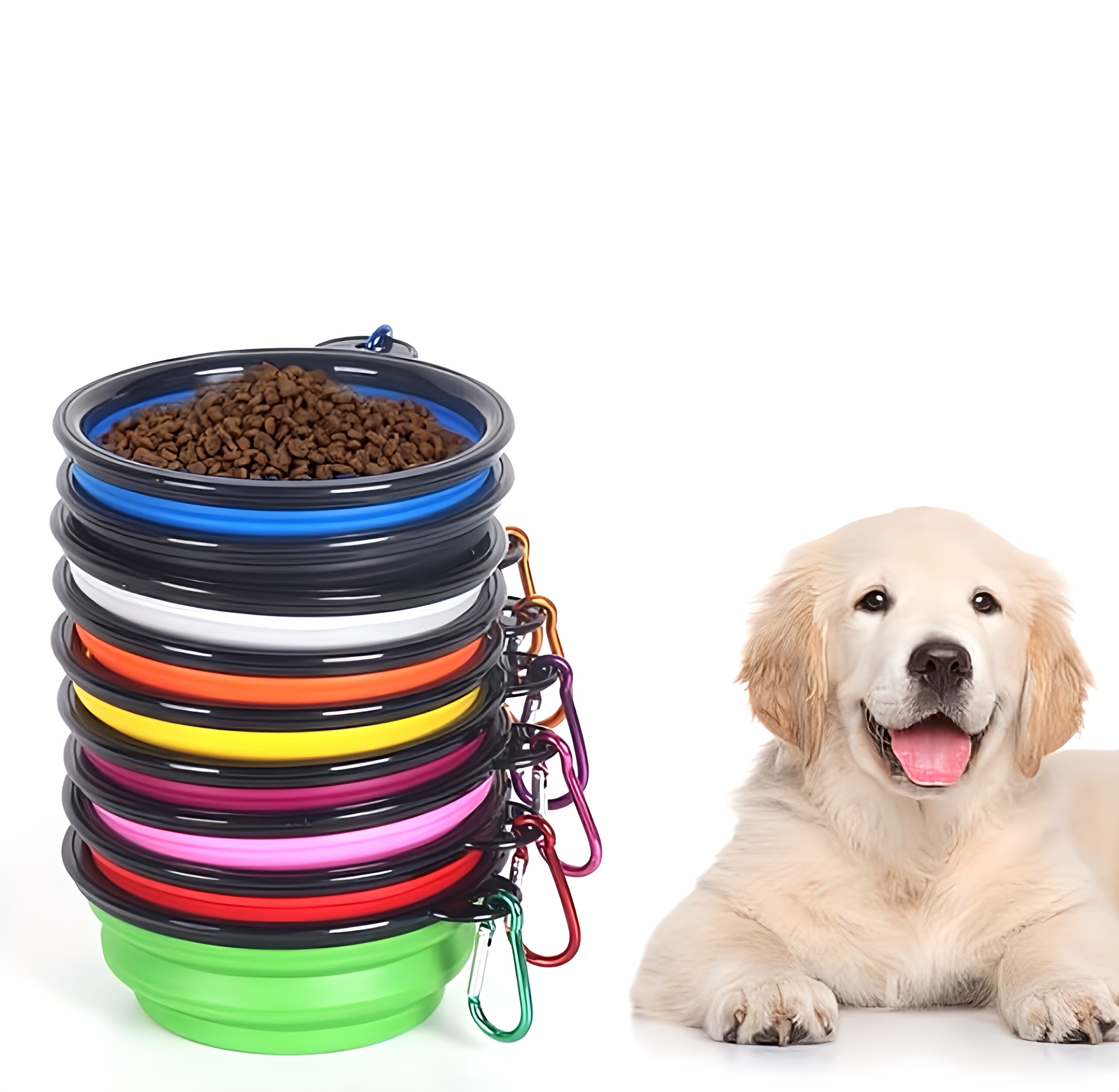 Pet Foldable Bowl