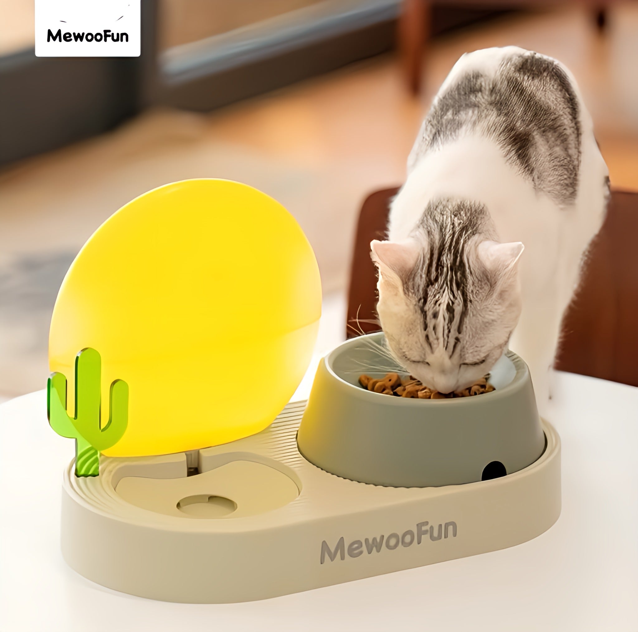 MewooFun Food & Water Bowl