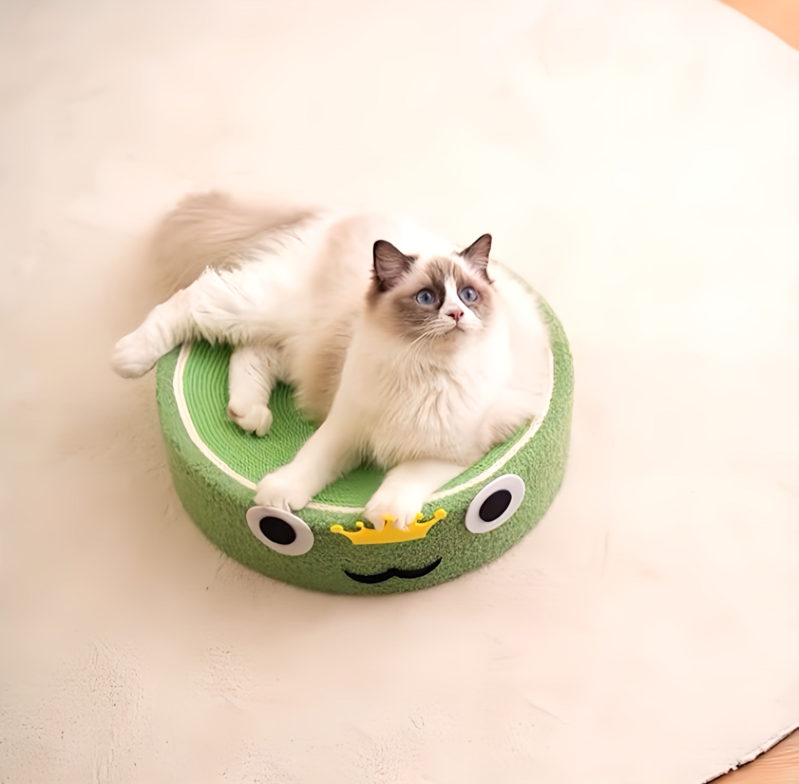 Cat Scratching Bed