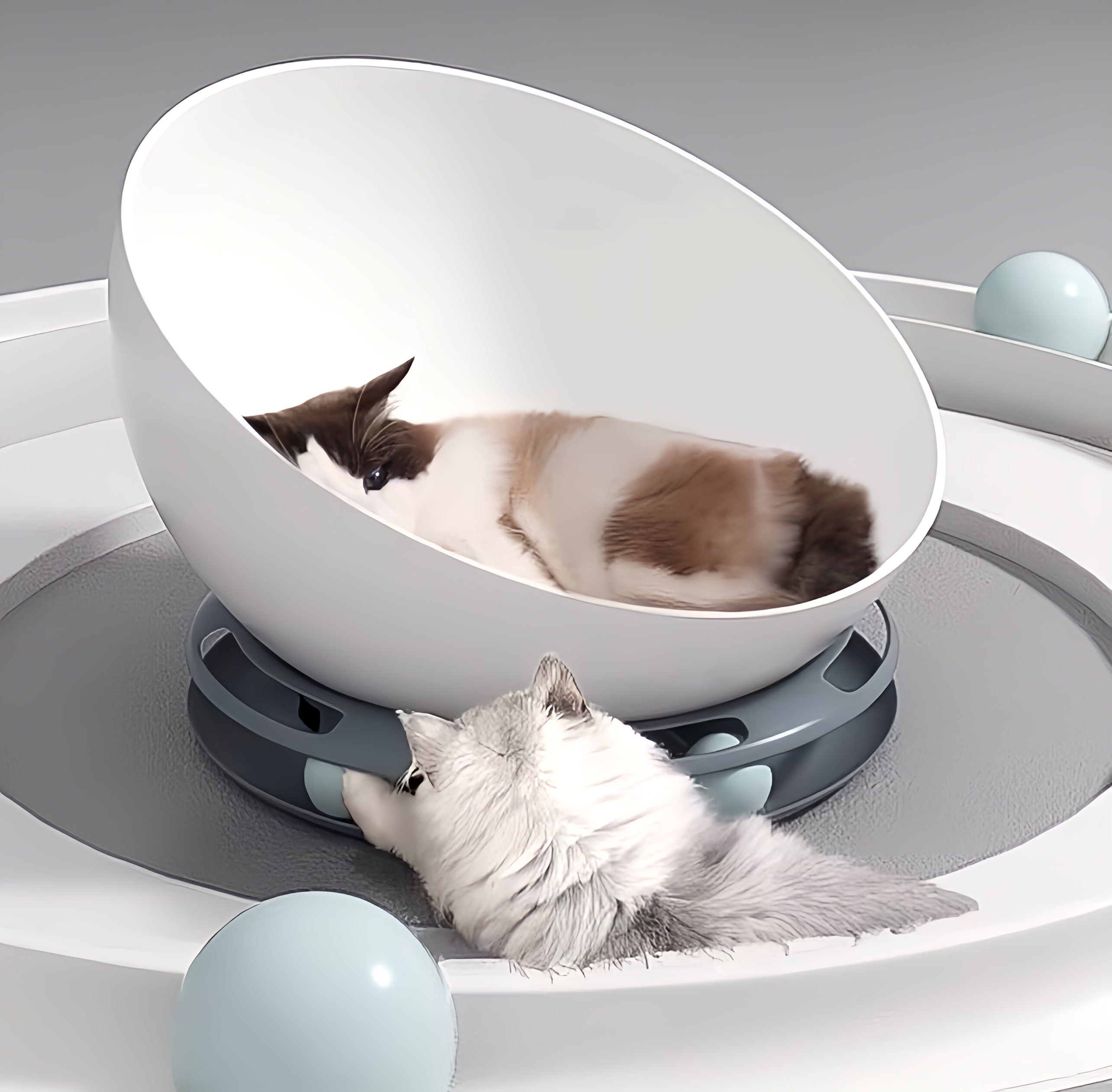 Cat Bed with Ball Game