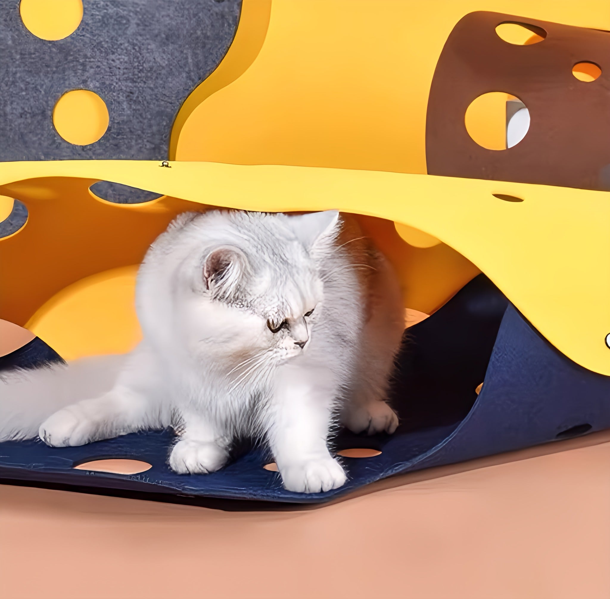 Cat’s Tunnel Game